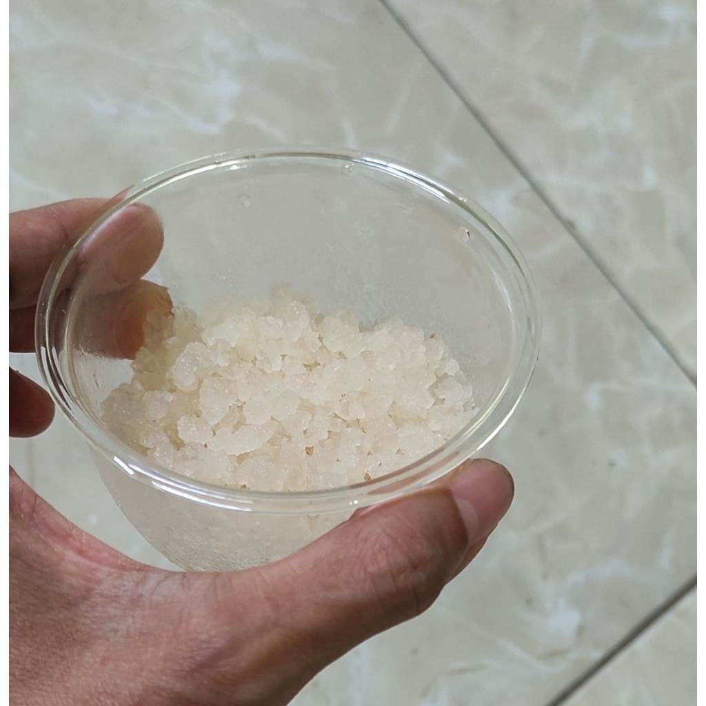 Bibit Water Kefir Kristal Alga Jepang Grain