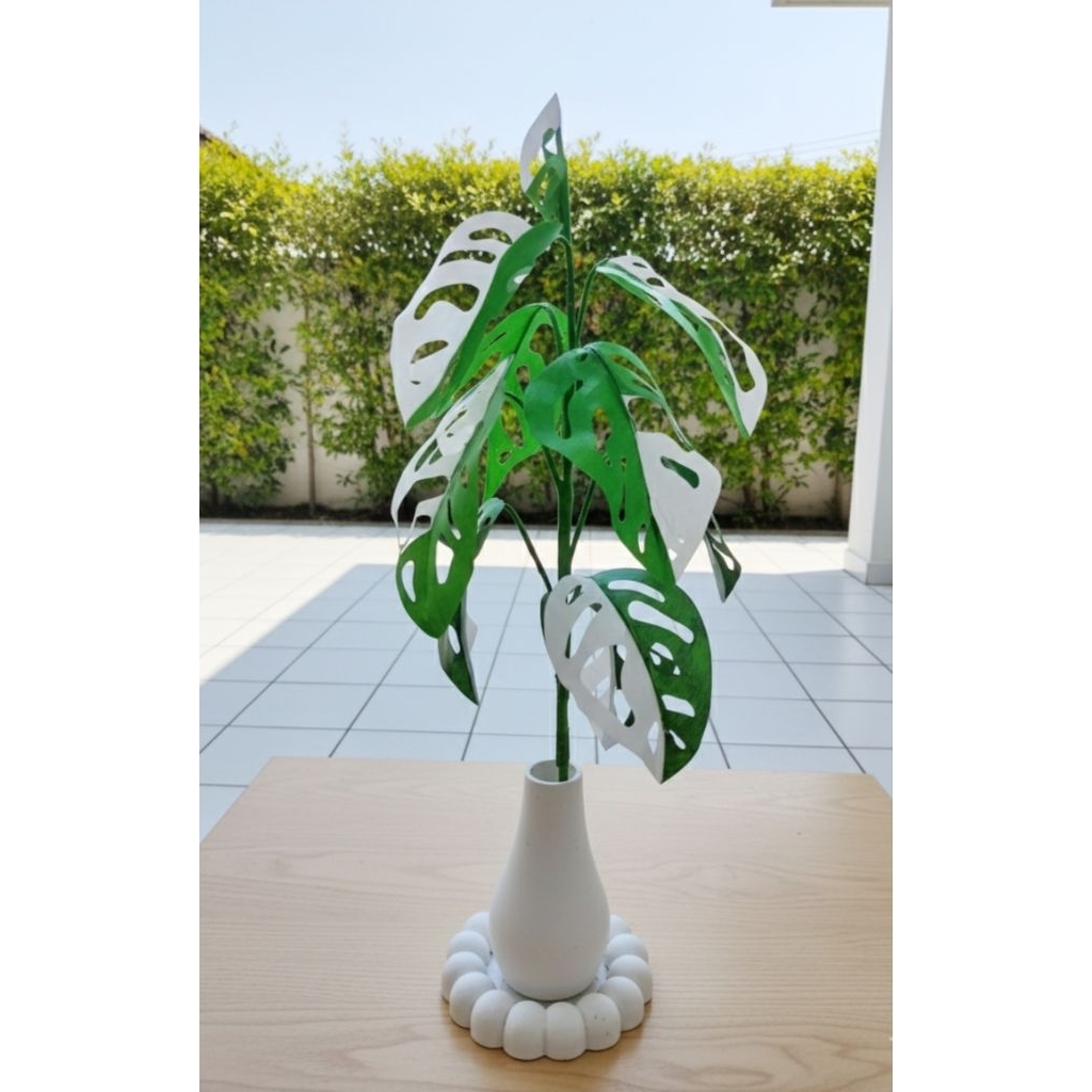 Monstera Variegata / Janda Bolong dari plastik kresek Handmade TANPA POT