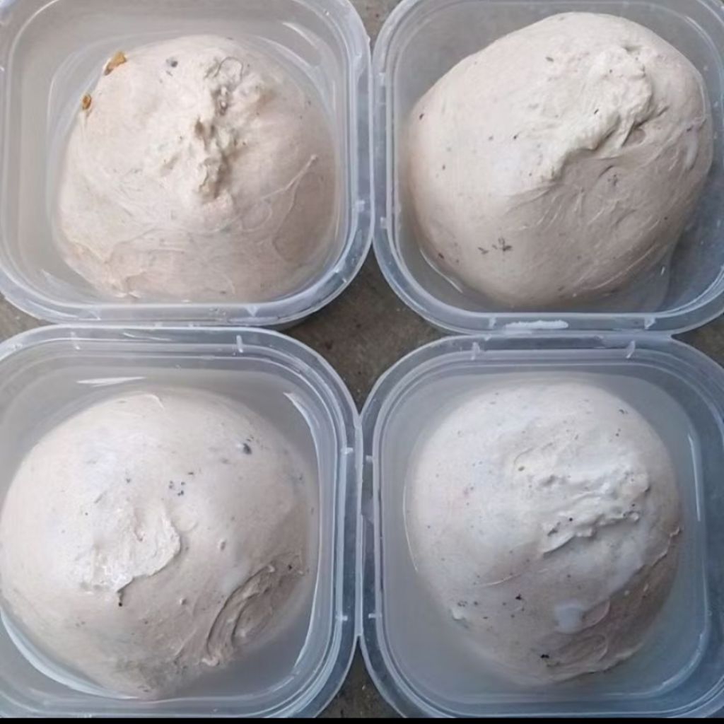 pulut burung super lengket siap pakai