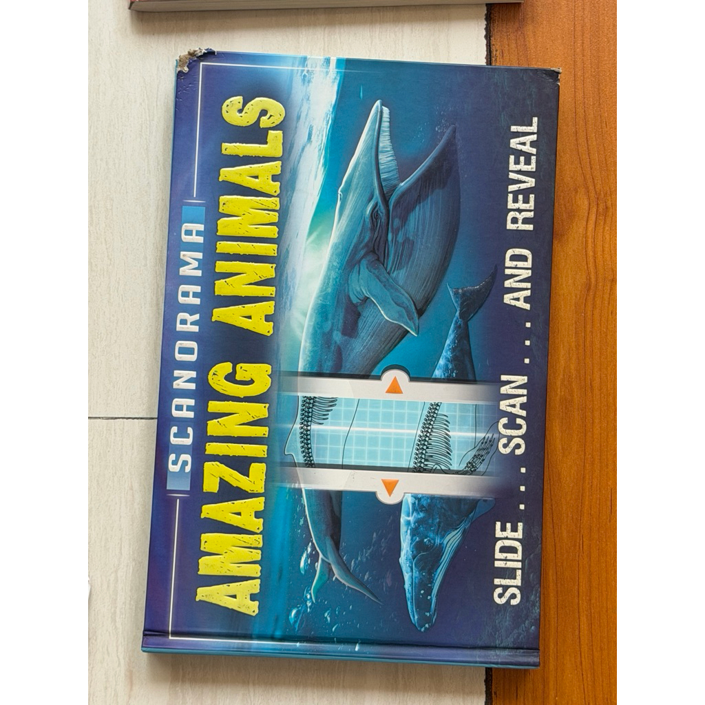 preloved scanorama amazing animals children’s book