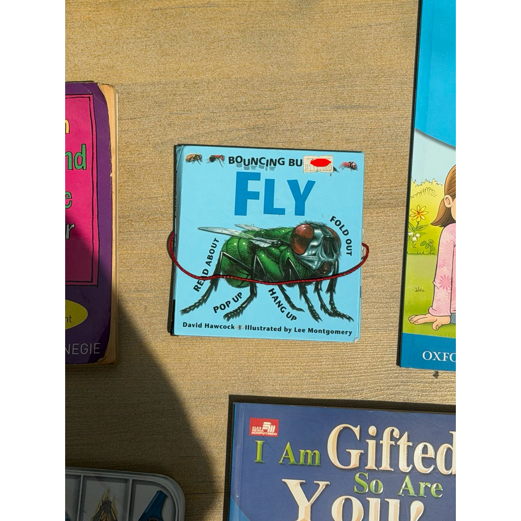 preloved bouncing bugs flip book fly