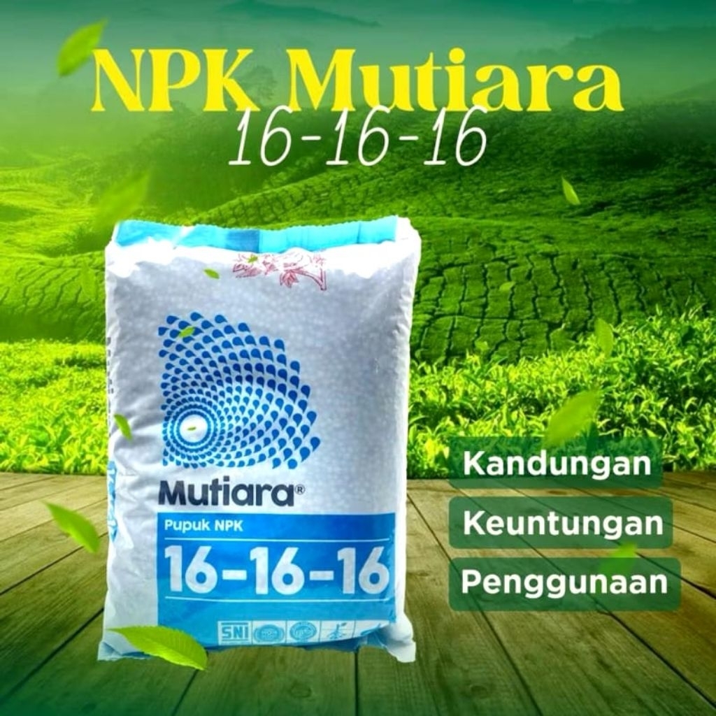 Pupuk NPK Mutiara 16 16 16 Asli Kemasan Pabrik - Npk Mutiara 1 Kg