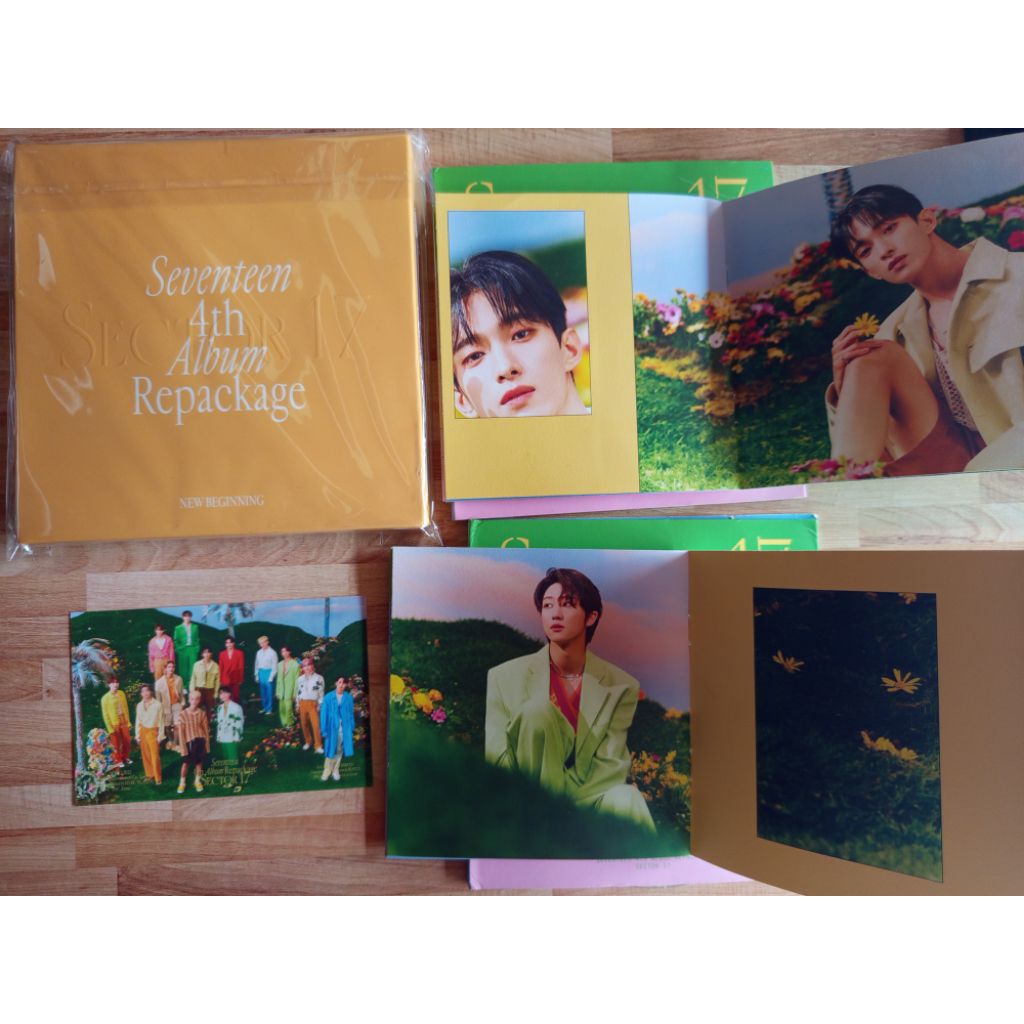 Album Only Sector 17 Seventeen