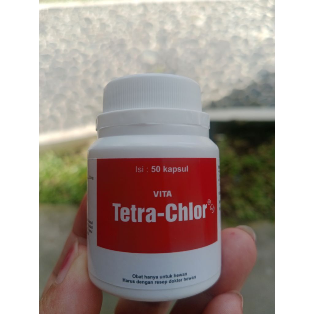 Tetra Chlor 50 kapsul untuk ayam ngorok