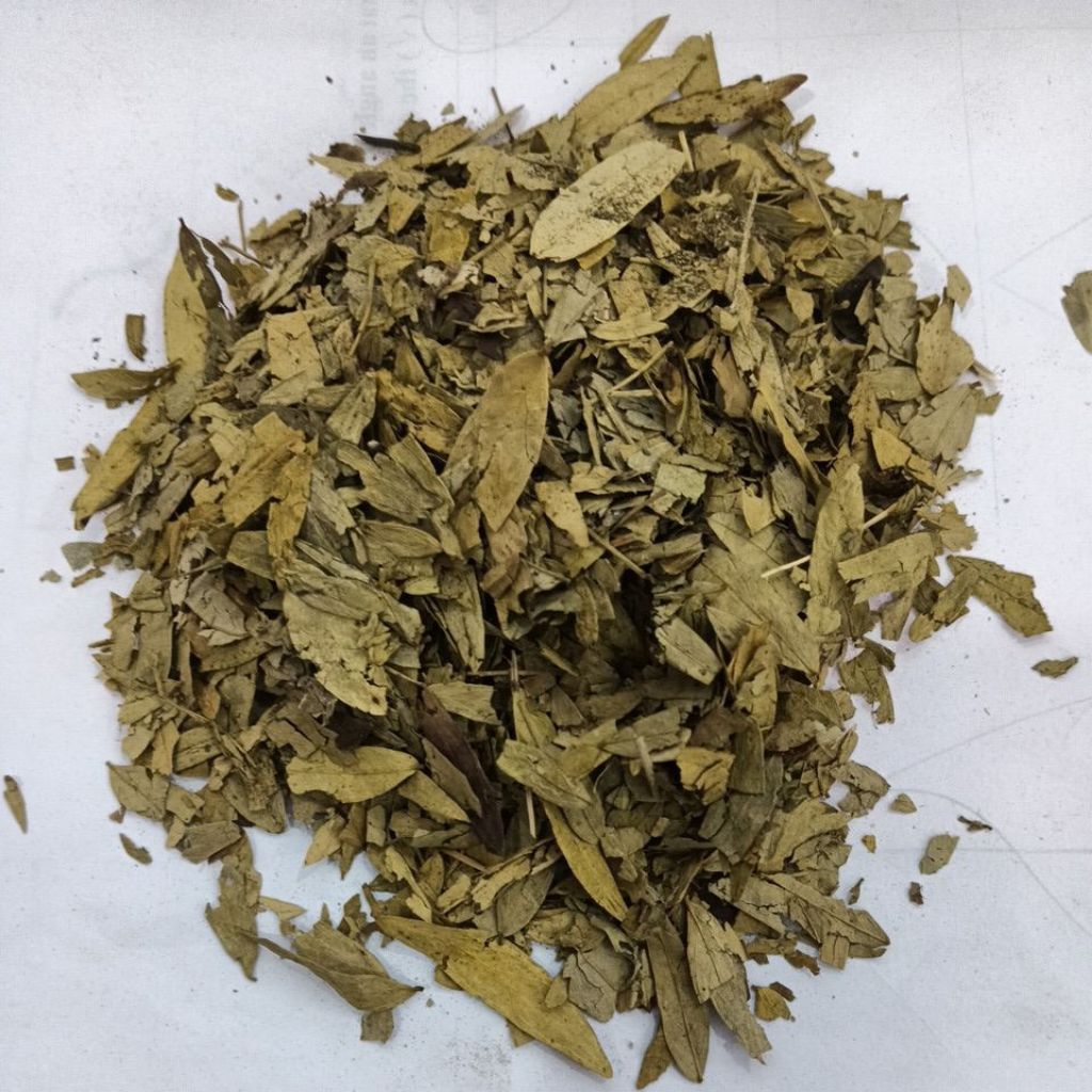 teh daun jati cina 100gram