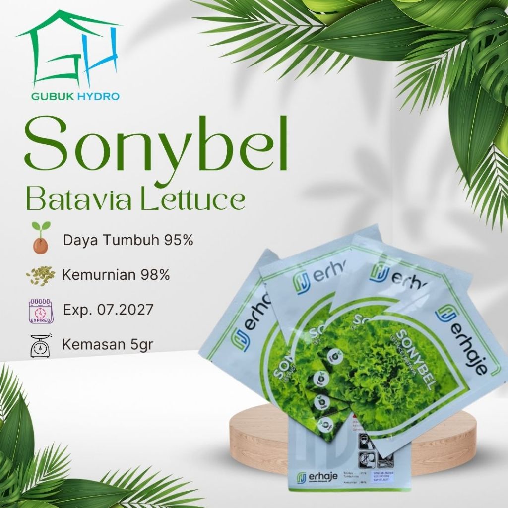 Benih Selada Batavia Sonybel 5gr (Bejo Seed)