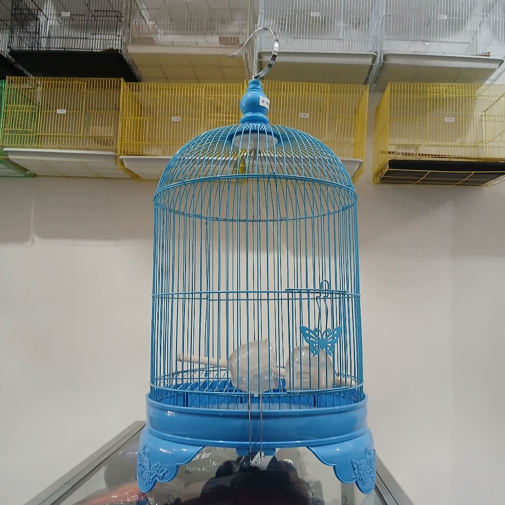 0606-BIRU KECIL SANGKAR BESI LOVEBIRD