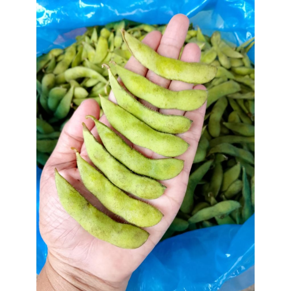 Edamame Segar Mentah 1kg