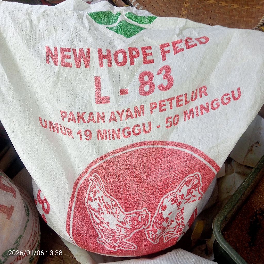 PakanAyamPetelurL-83ALUS