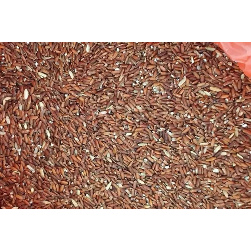 1karung/25kg Beras Merah Pakan Ayam dan Burung