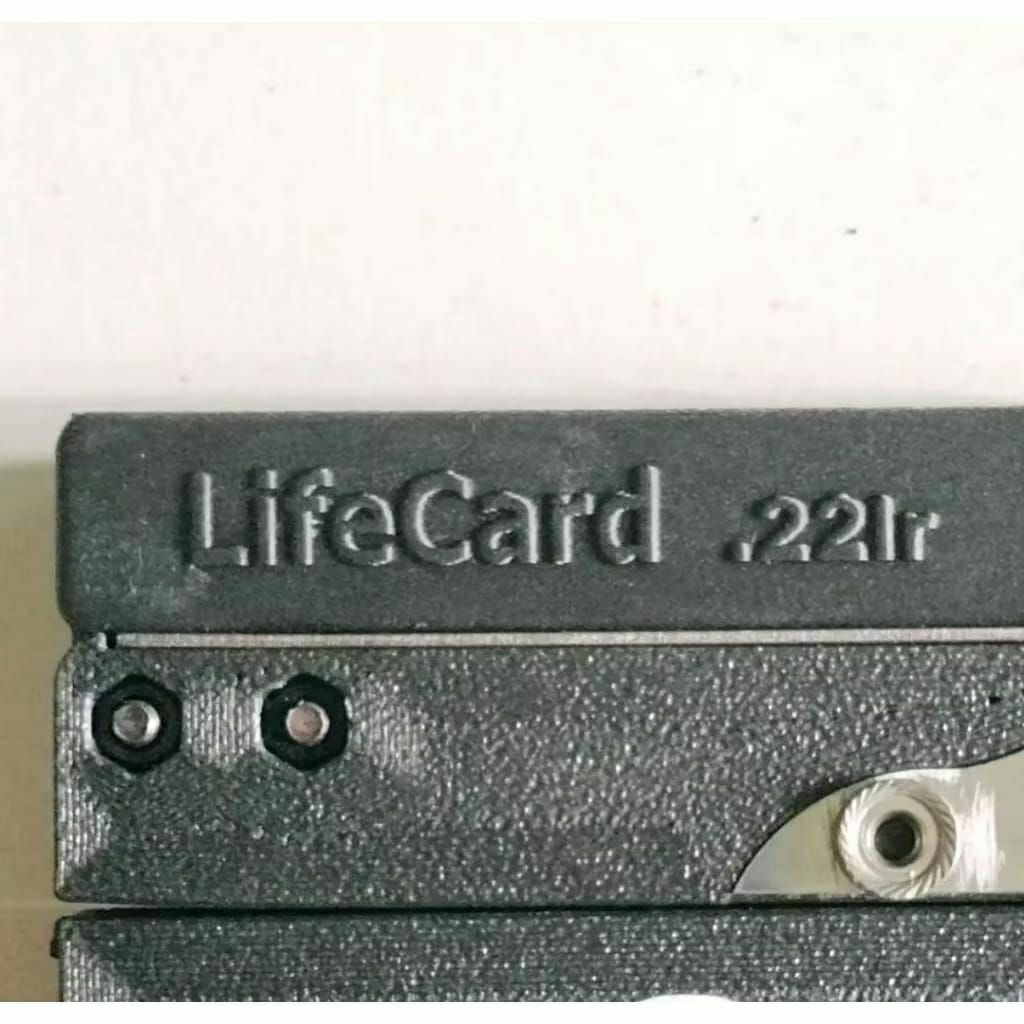 Mainan Puzzle 3D print Lifecard pakai Kacang Lr 22