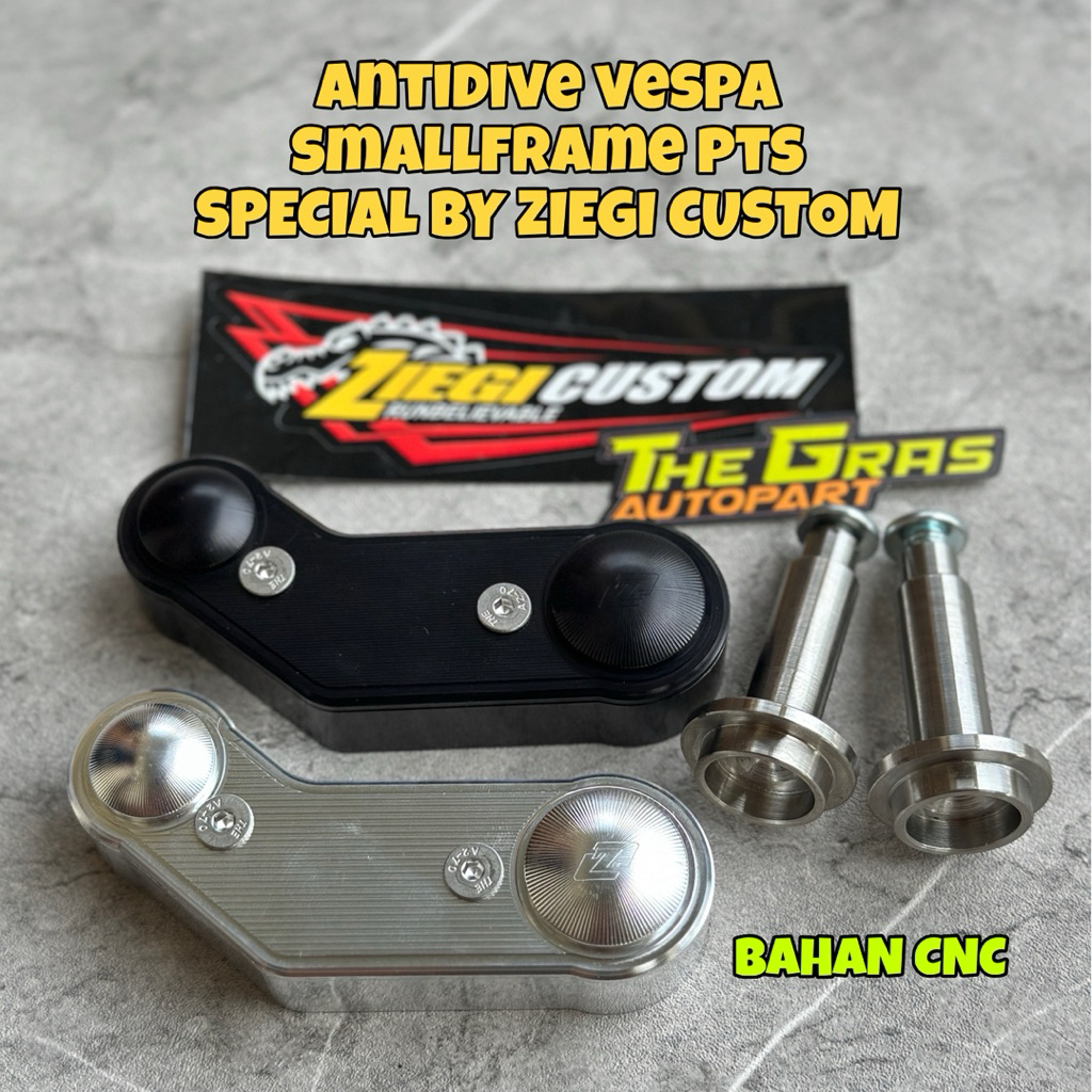 Antidive Vespa PTS Special Smallframe Ziegi Custom
