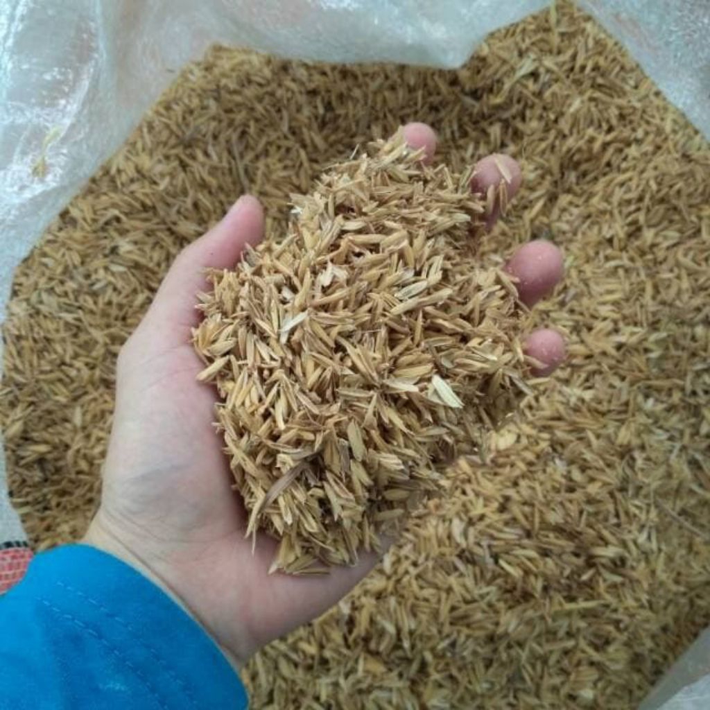 Sekam padi mentah karung 50/20 kg