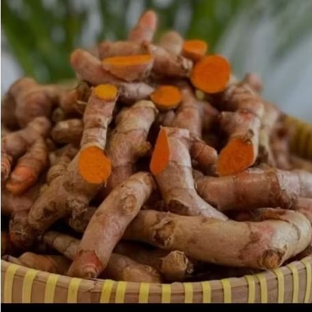 KUNYIT 1KG KUNIR SEGAR KUNYIT SEGAR