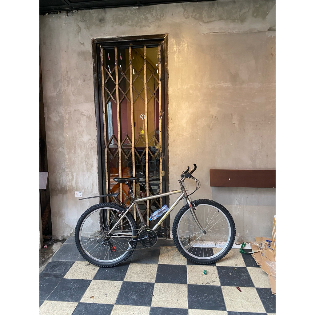 raleigh usa chromoly