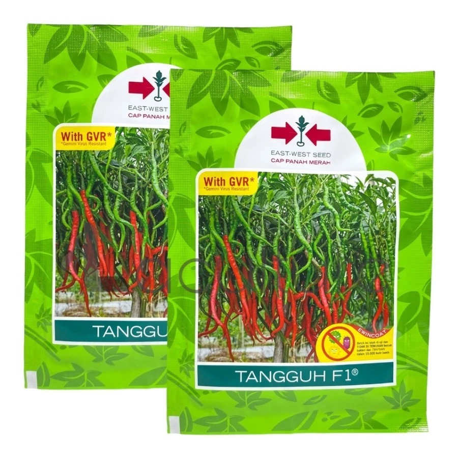Benih Cabe Keriting TANGGUH F1 - Tahan Penyakit, Kualitas Tinggi