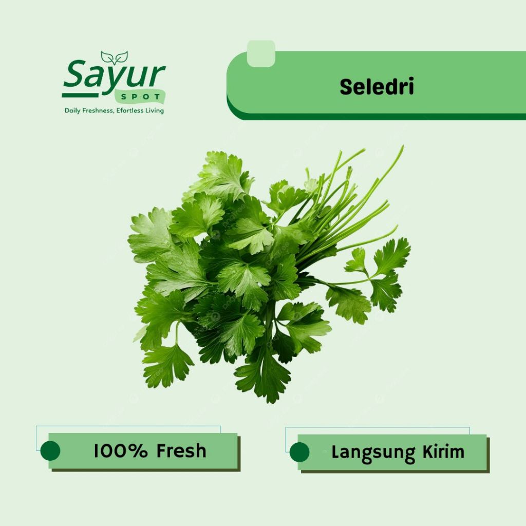 Daun Seledri Segar / Sayur Bekasi | Sayur Spot Bekasi