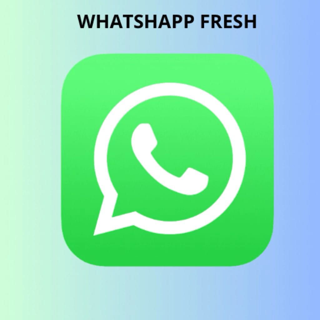 Nomor WhatsApp Fresh | WhatsApp fresh