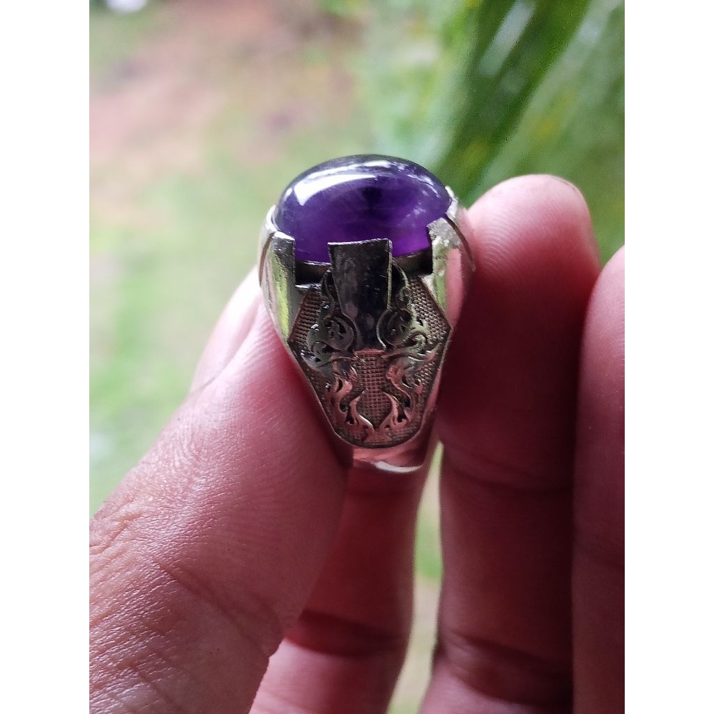 Kecubung Ungu Kalimantan