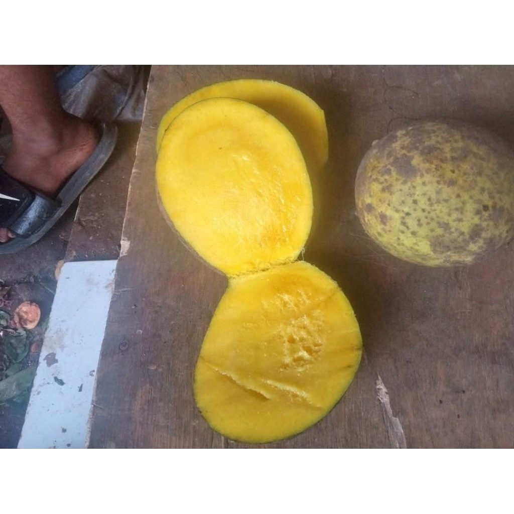 buah bacang pakel limus