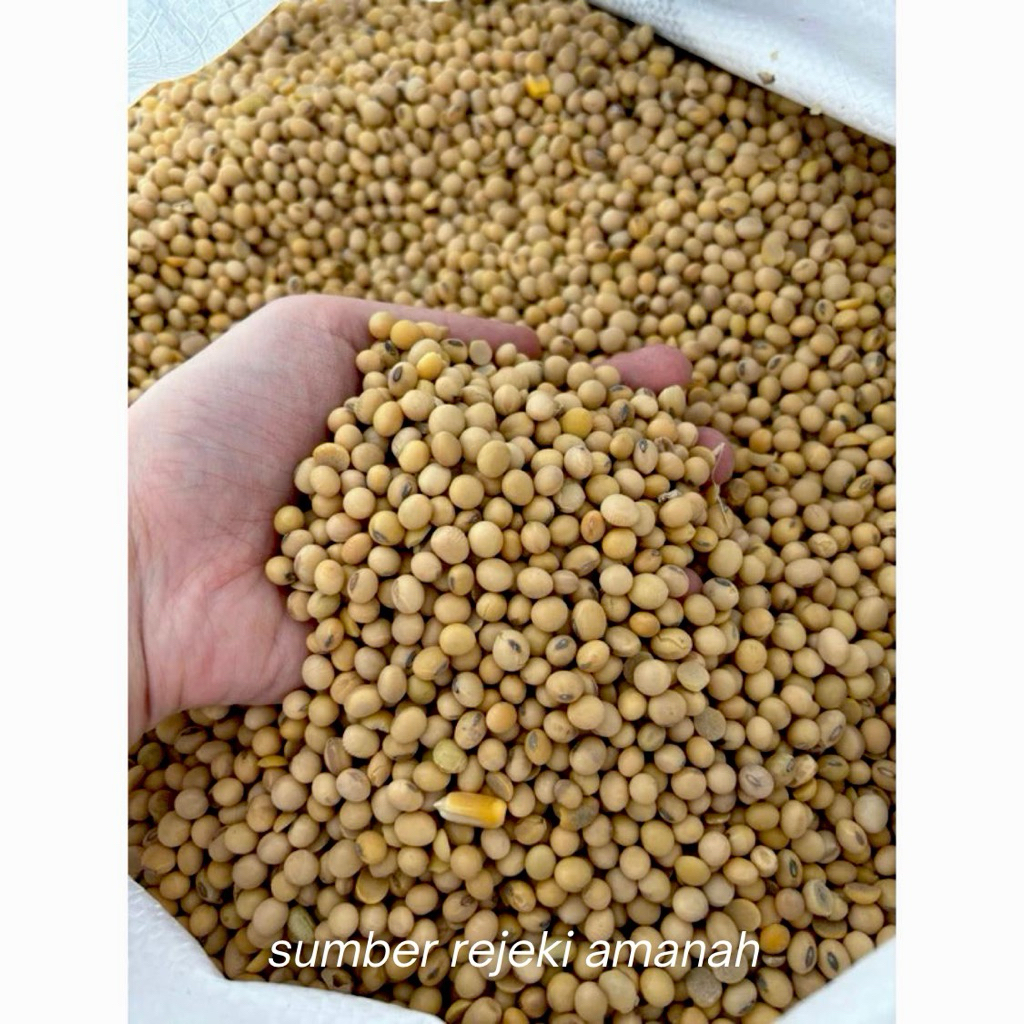 Kacang Kedelai Bola 250g