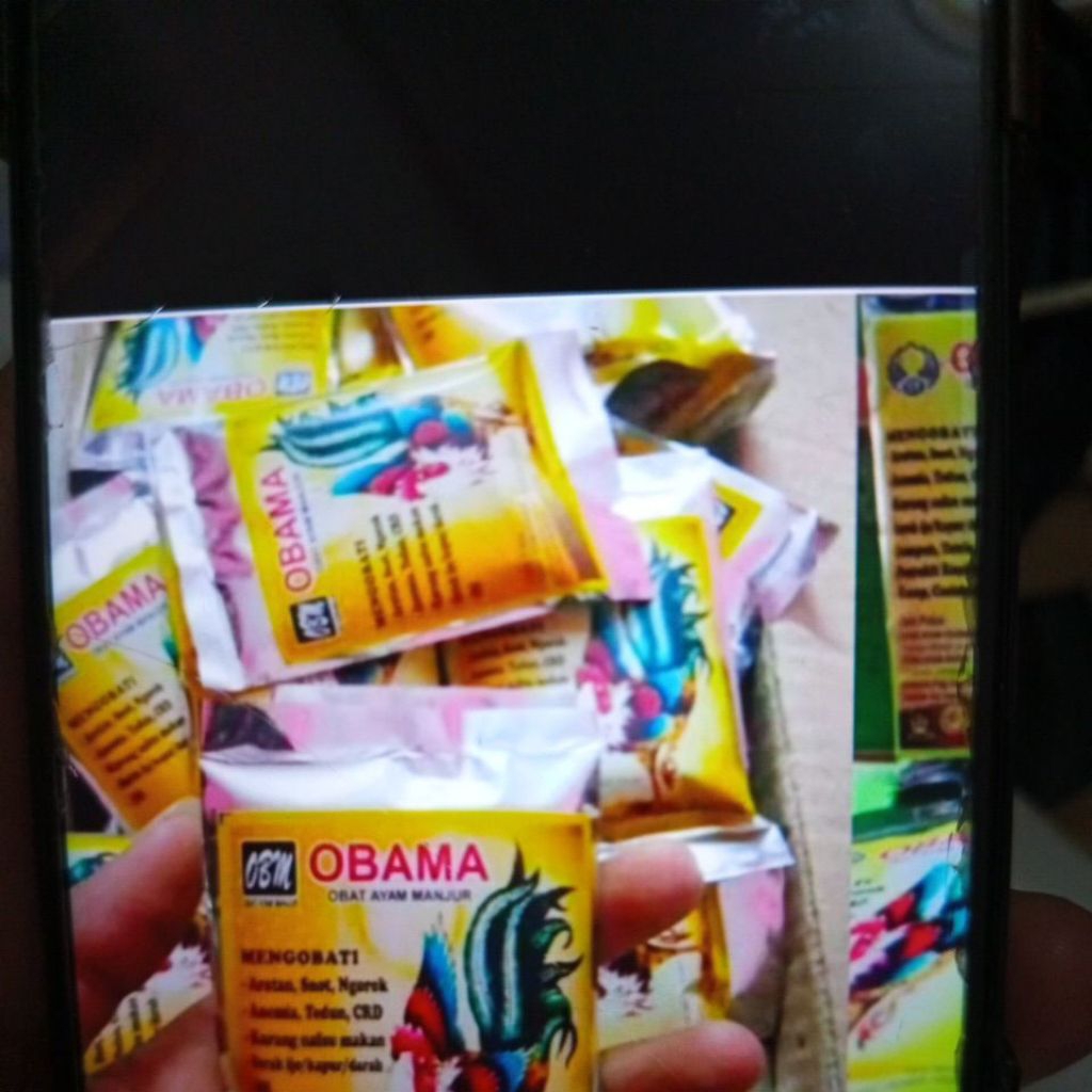 Obama obat segala penyakit dan virus pada ayam