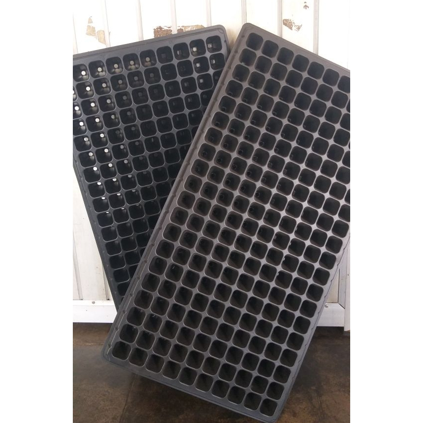 TRAY SEMAI 200 LUBANG