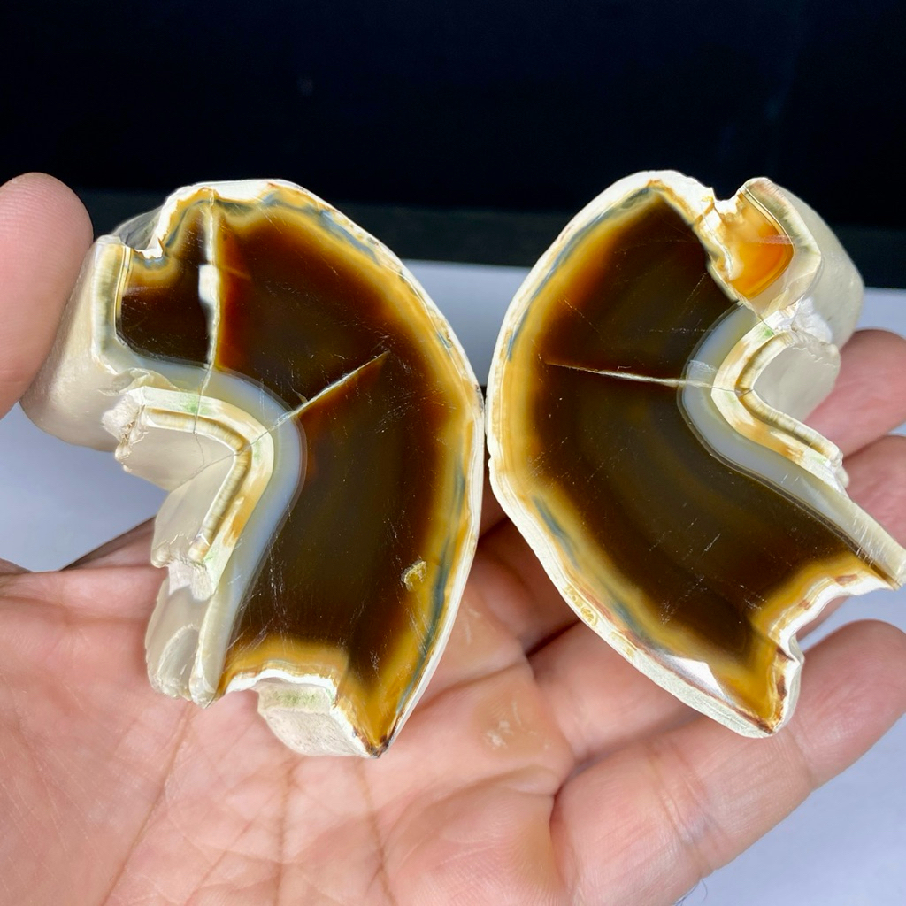 Natural Agate Nodule - Chalcedony Slice Agate - Bongkahan Batu Agate Nodul - Gemstone Collection