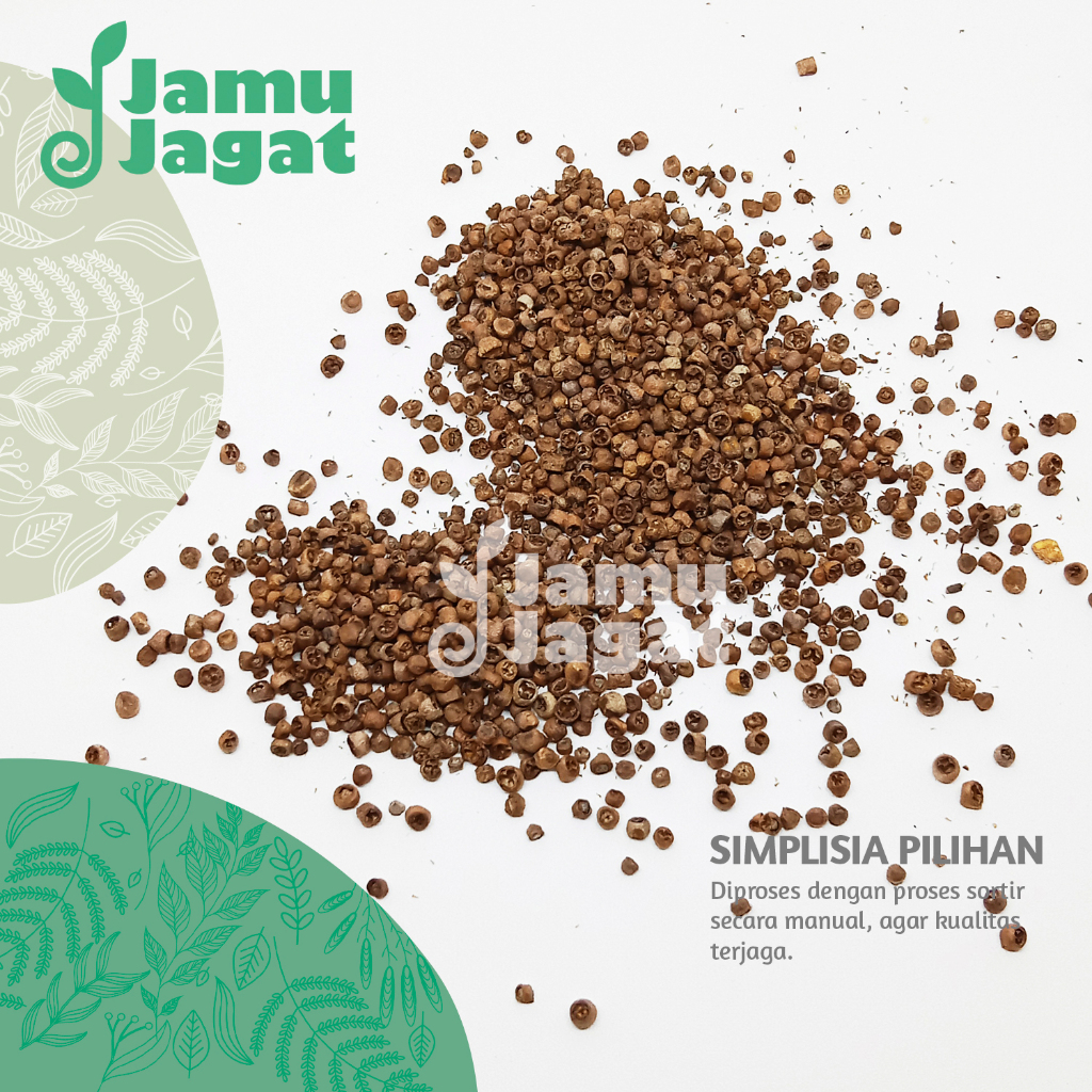 Mrico Bolong 500gr Organik Grade A