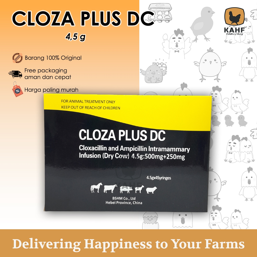 Cloza Plus DC 4.5 gram Obat Mastitis Masa Kering pada Sapi Kambing Pengganti Depolac Biomycin Cloxa