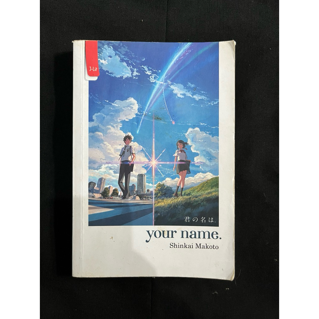 Novel Your Name