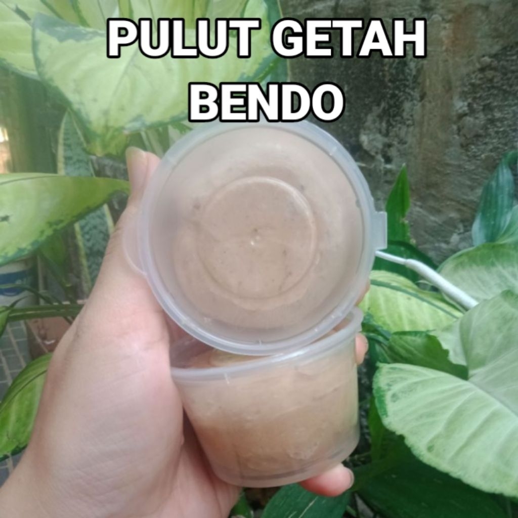 Pulut burung lengket bahan getah bendo dan getah karet