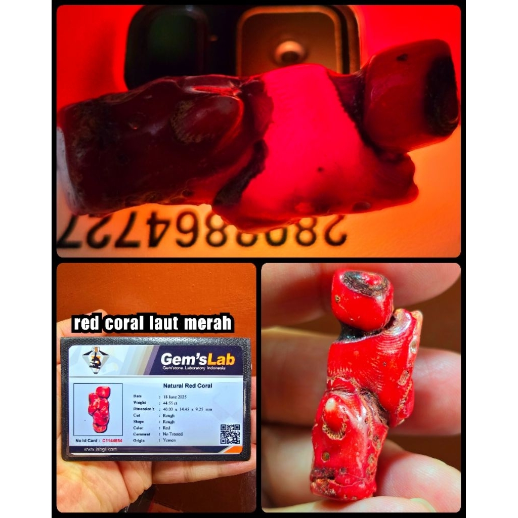 bongkahan batu akik marjan merah coral yemen