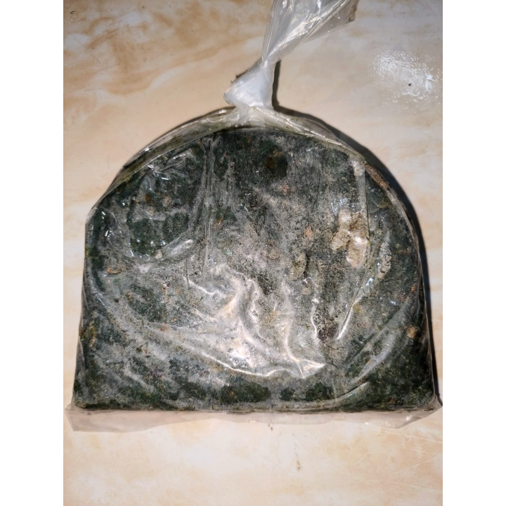 UMPAN GALATAMA / GALAPUNG LELE PELET MAGOT