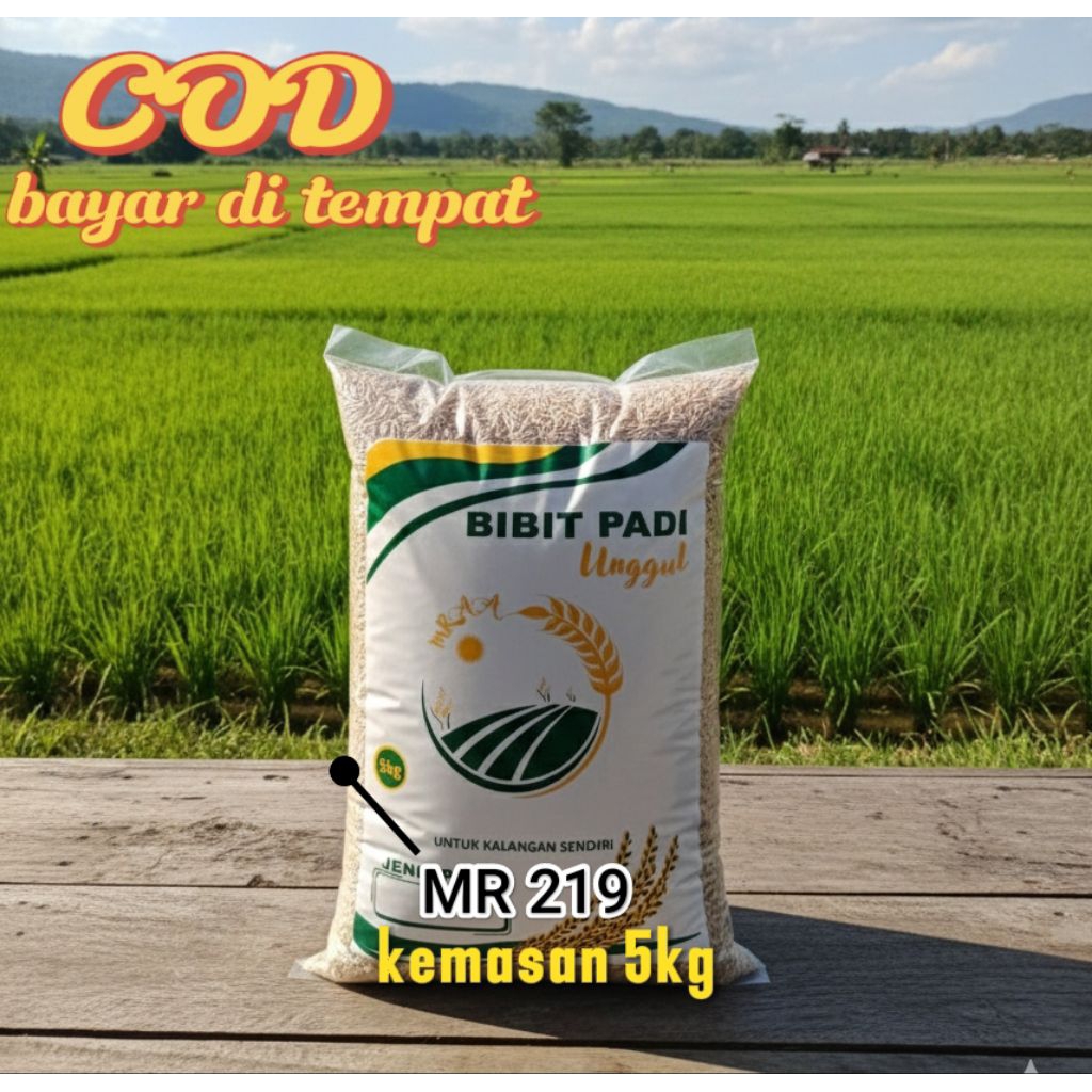 BIBIT BENIH PADI UNGGUL MR219 KUALITAS PREMIUM KEMASAN 5KG