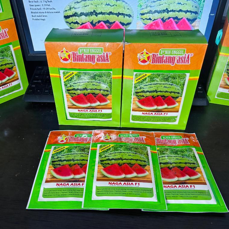 Benih Semangka Merah Lonjong NAGA ASIA F1 20 Gram - Bintang Asia Bibit Semangka