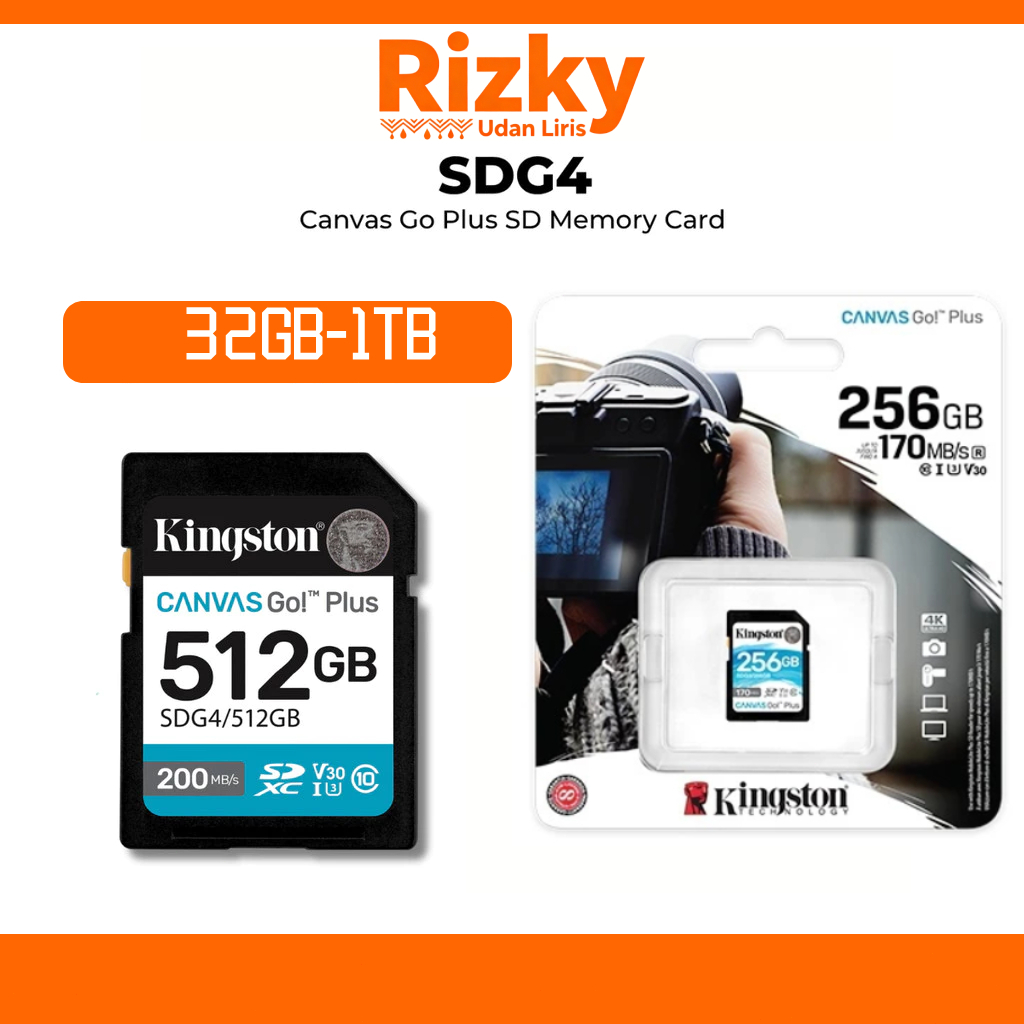 Kingston Canvas Go Plus SDG3/SDG4 Class 10 UHS-I U3 V30 SDXC SD Memory Card for DSLR, 4K Video