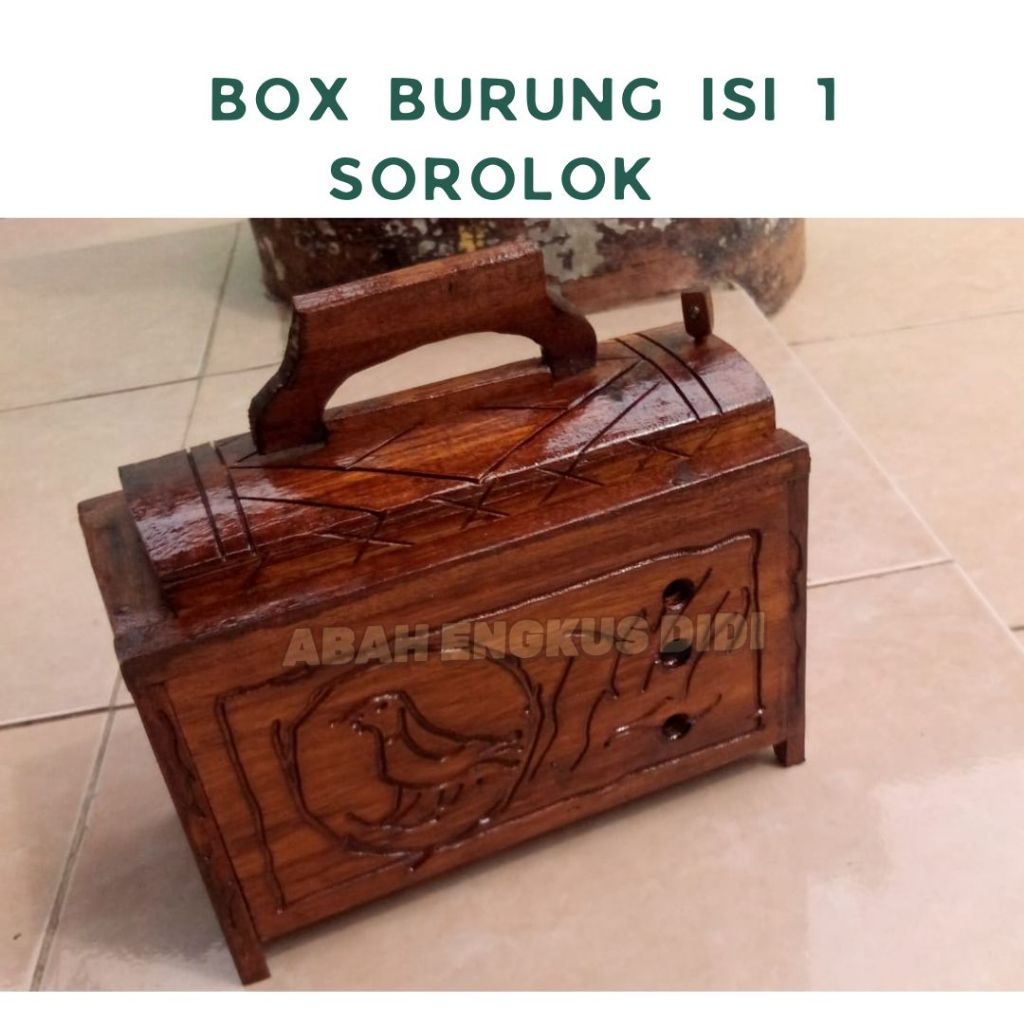 BOX ISI 1 SOLOROK UNTUK BURUNG KUTILANG TRUCUKAN