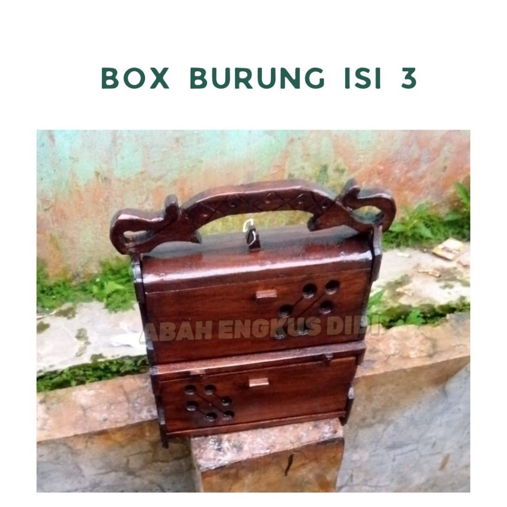 BOX ISI 3 UNTUK BURUNG KUTILANG TRUCUKAN