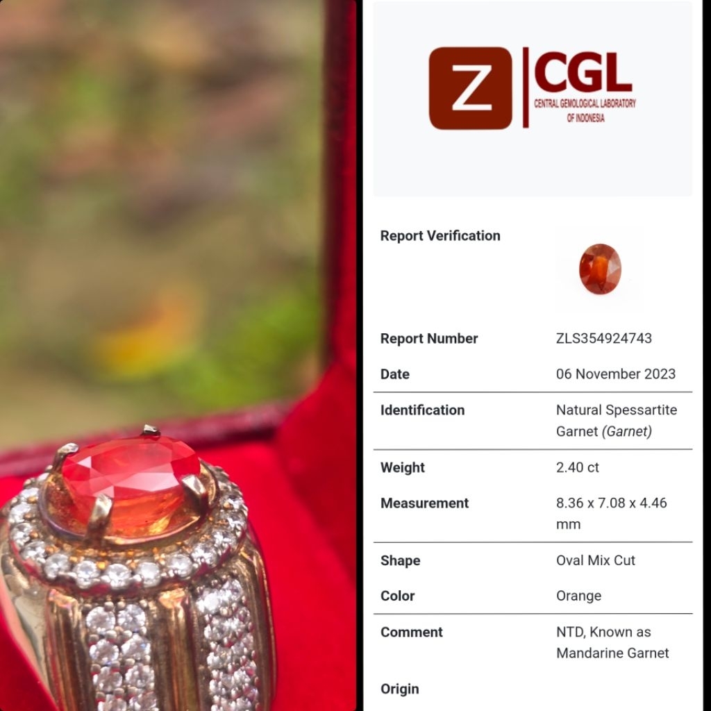 Natural Spessartite / Mandarin Garnet - Memo CGL