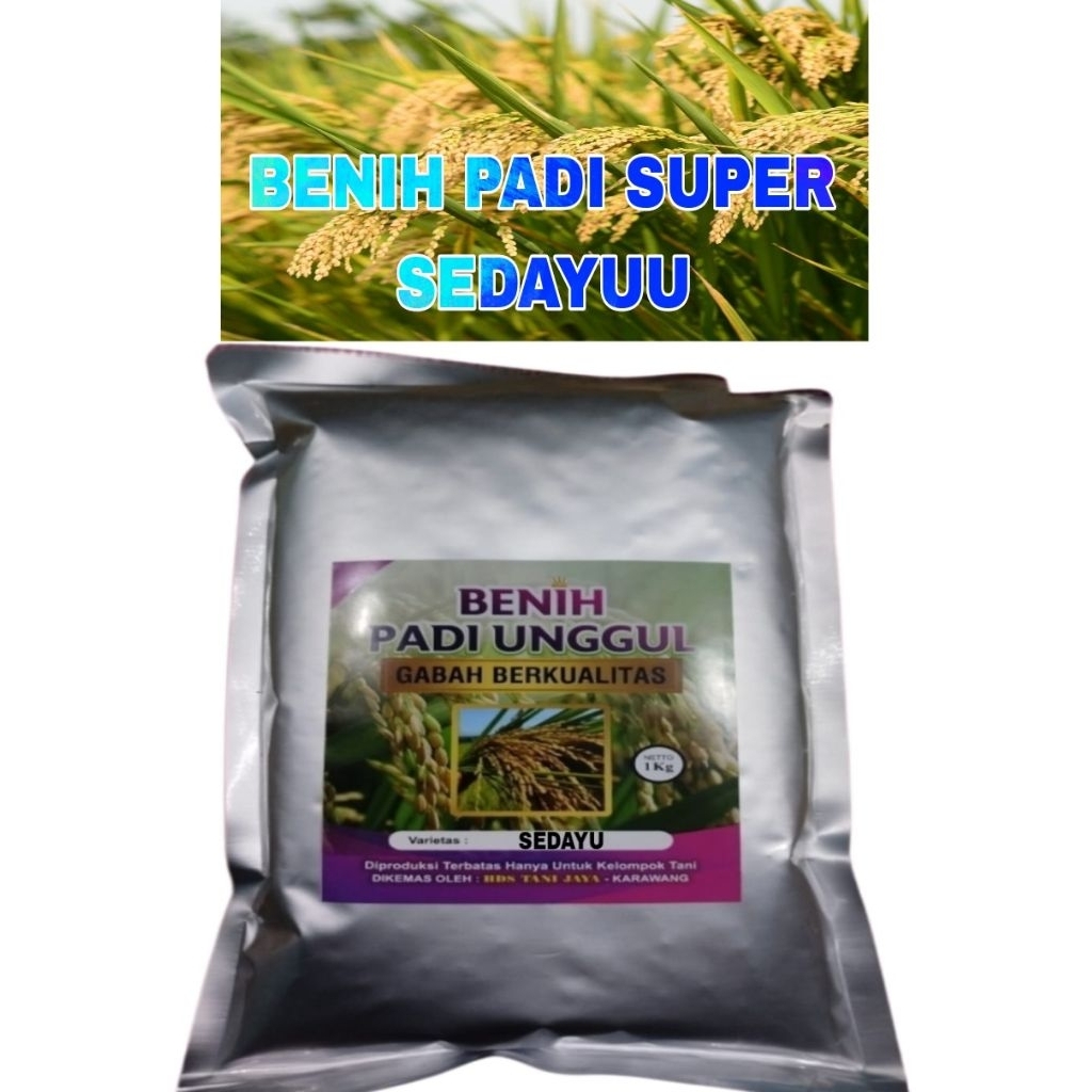 BENIH PADI 1KG SEDAYU ORIGINAL LABEL PUTIH