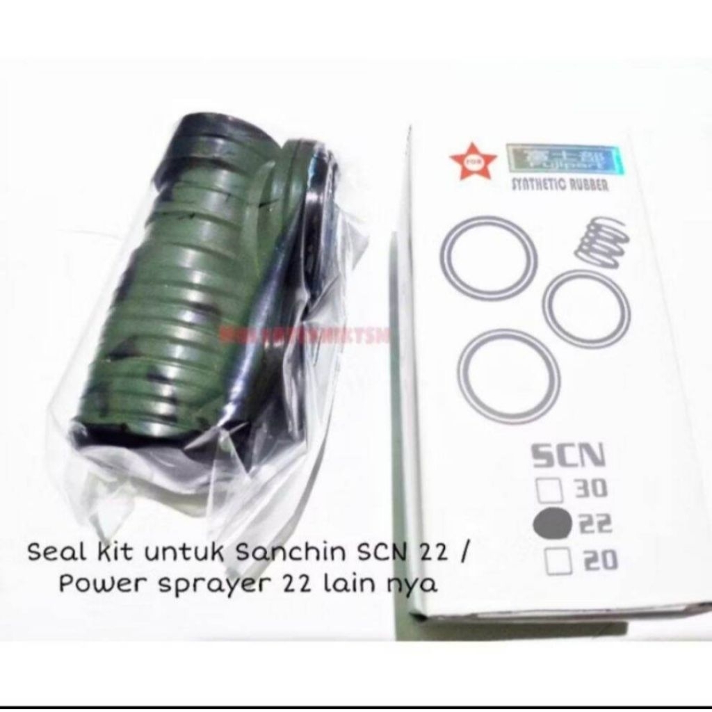 Seal kit power sanchin 22
