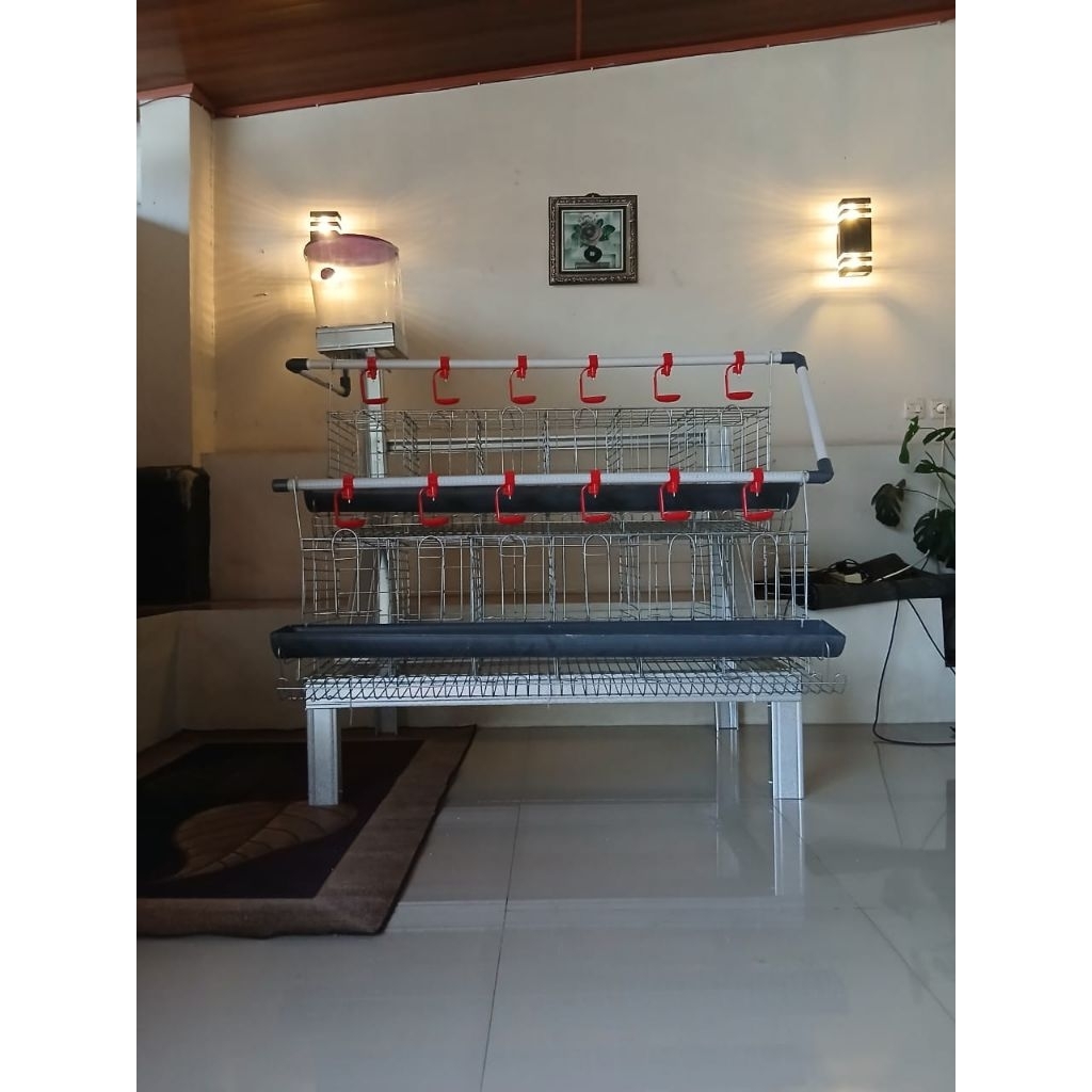 Kandang Batrei Ayam Petelur Kapasitas 6 Ekor + Ayam