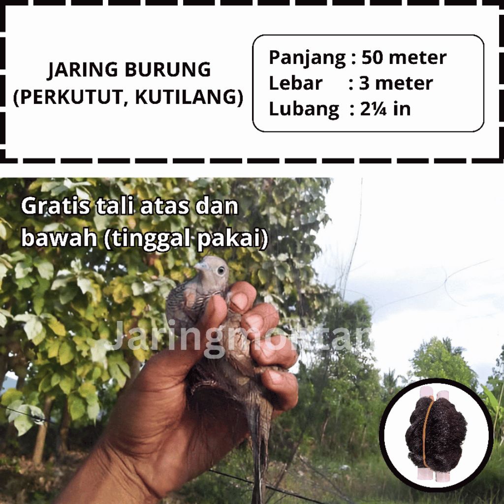 JARING PERKUTUT 50 METER JEBAKAN BURUNG KUTILANG SIAP PAKAI JARING
