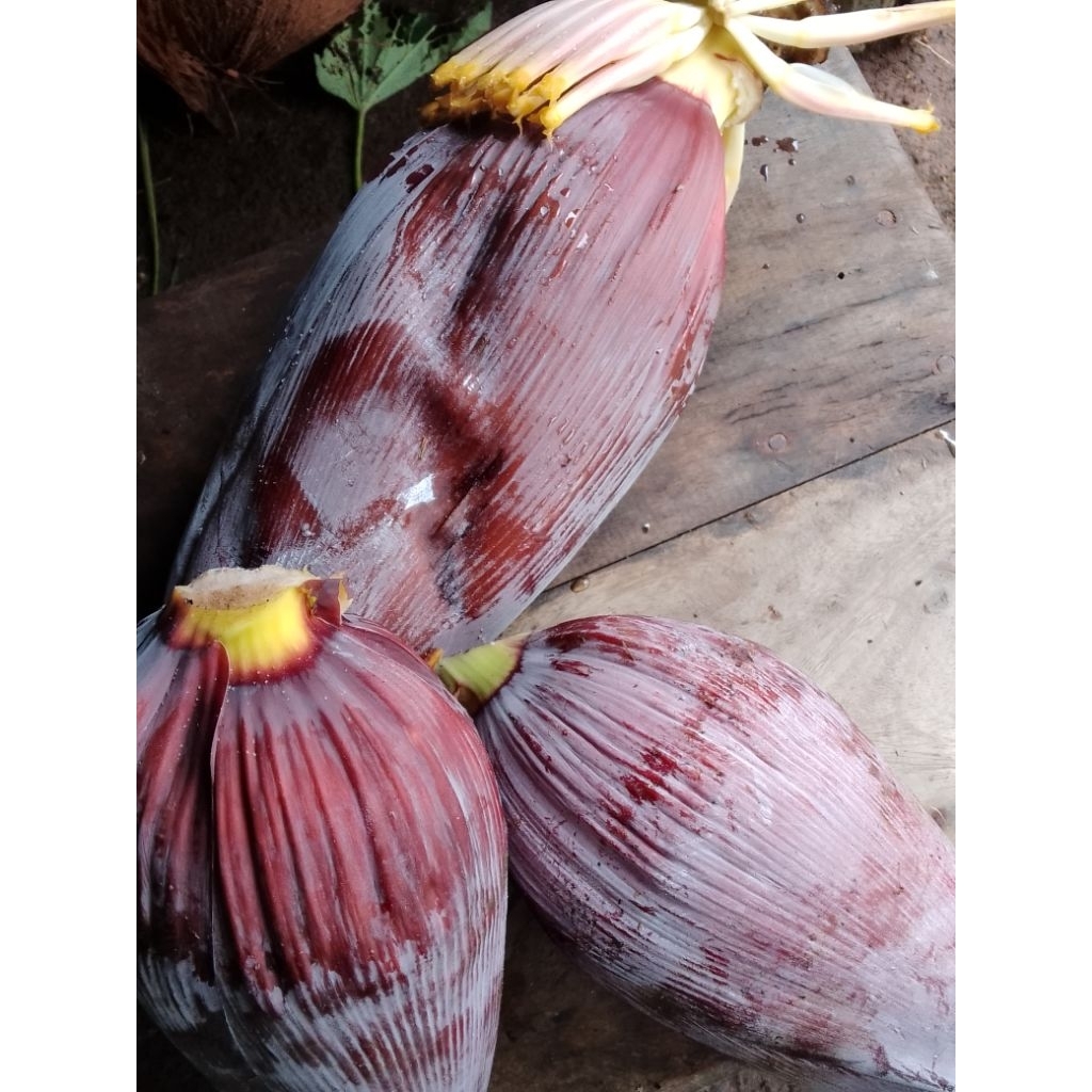 Jantung Pisang Kepok