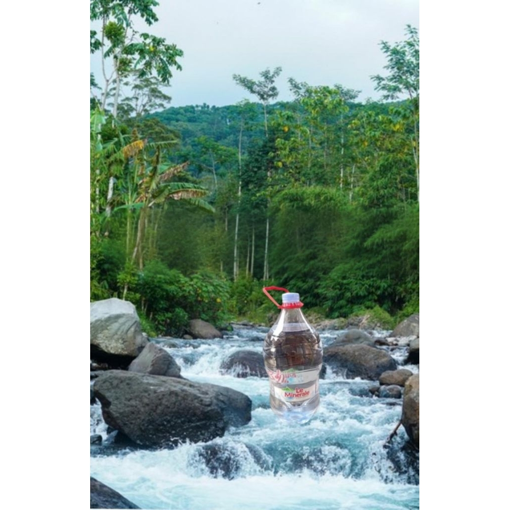 LE MINERALE    GALON 5 LITER