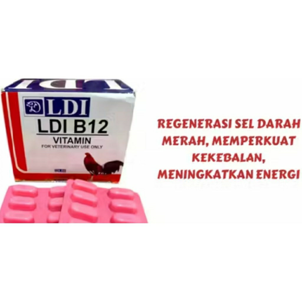 LDI FILIPIN PILIPHINS VITAMIN AYAM DAYA TAHAN STAMINA