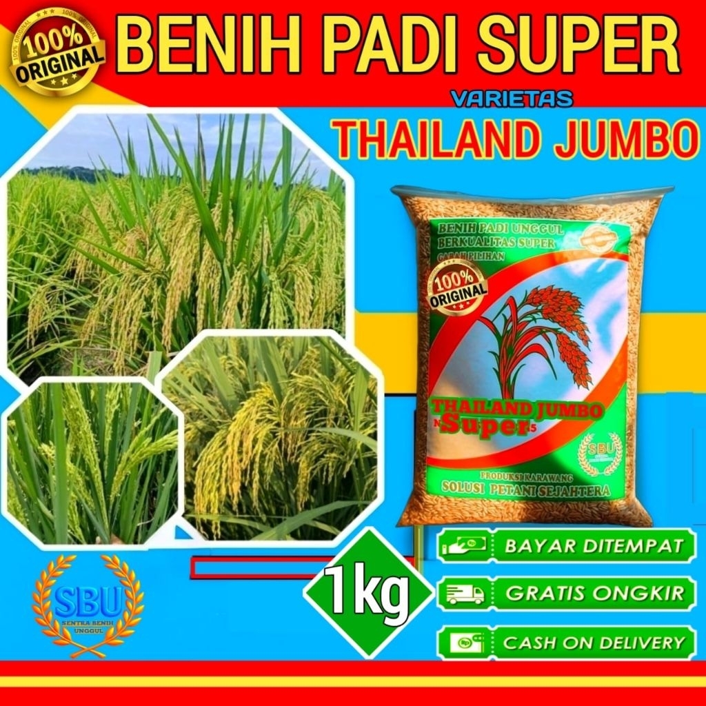 Benih Padi Thailand Jumbo Kemasan 1kg Original