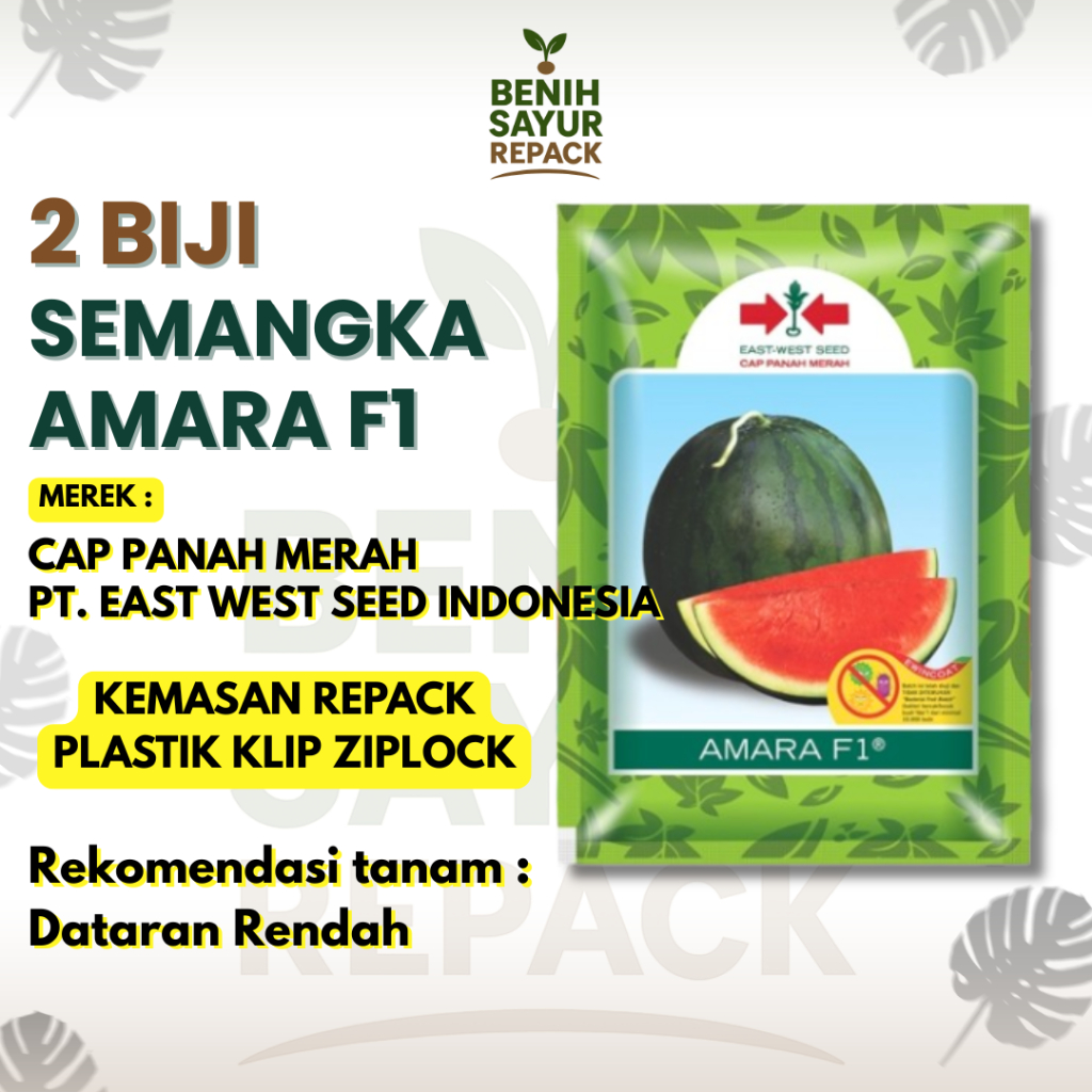 2 Biji Benih Semangka Amara F1 - Buah Semangka Merah Manis dan Renyah - CAP PANAH MERAH SEMANGKA AMA