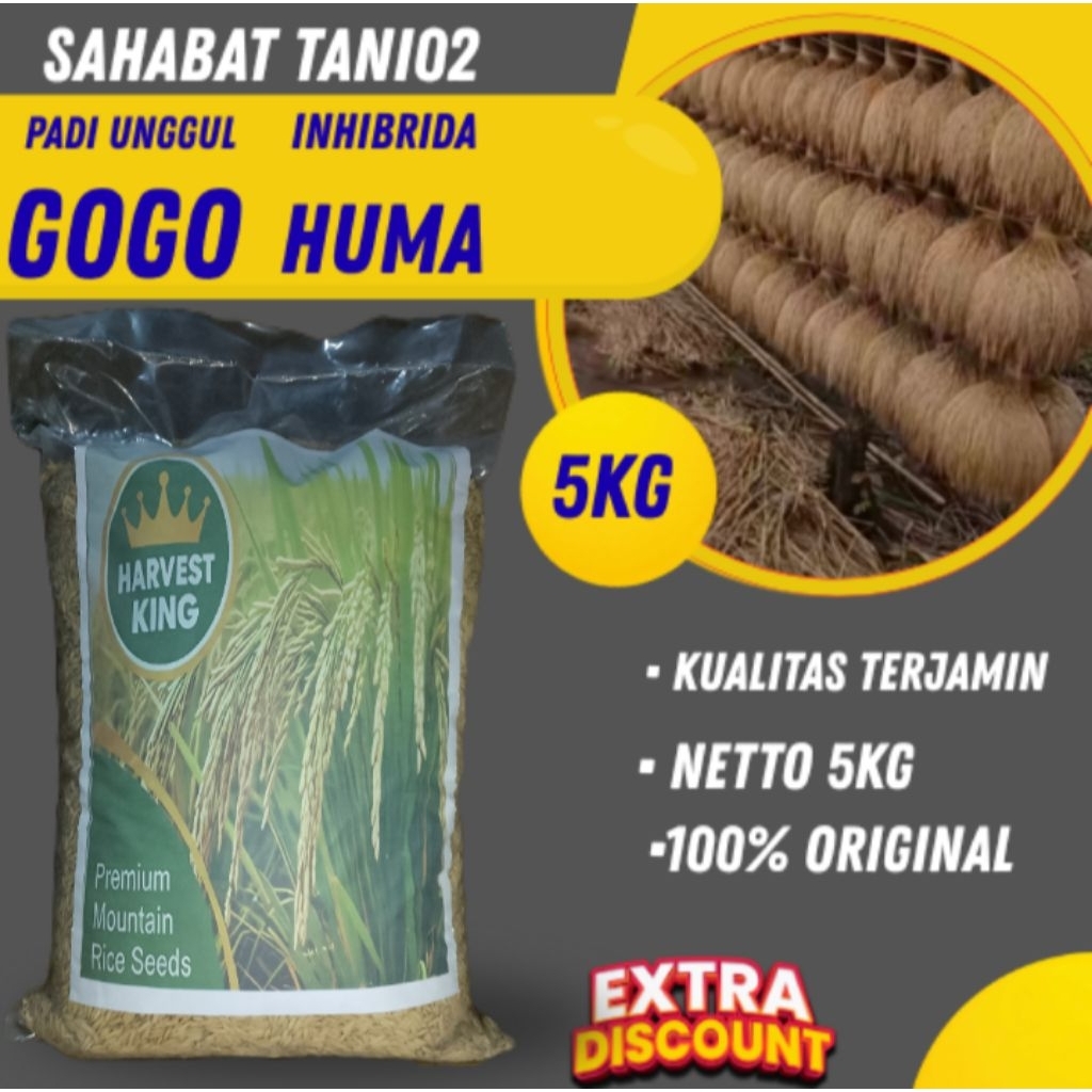 BENIH PADI UNGGUL GOGO HUMA ORIGINAL SUPER UNGGUL